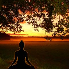 Yogi meditiert unter Bodhi Baum 