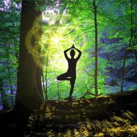 Yoga Haltung Baum Vrikshasana im Wald mit Blume des Lebens 