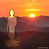 Buddha Lotus Sunset Forest Light