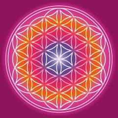 Blume des Lebens im Quadrat Format Farbenfroh
