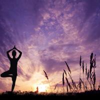 Yoga Übung Baum Vrikshasana mit Licht im Kornfeld